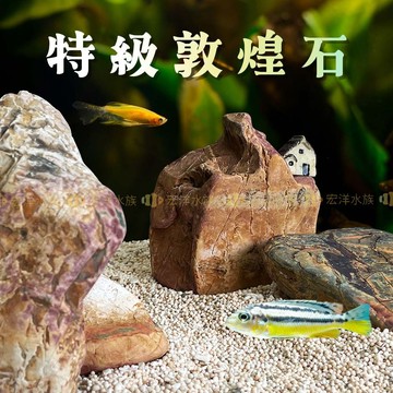 宏洋水族【特級-敦煌石】魚缸造景、水族造景、魚缸裝飾、水族裝飾、水草裝飾、水族箱、水草缸、造景石（青龍石、虎皮石、珊瑚石
