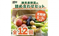 『定期便』_諫早産野菜の詰め合わせ(8～9品目程度)_全12回