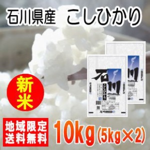 令和5年産石川県産こしひかり10kg（5kg×2）※北海道・九州・沖縄は送料別途　米　10キロ　送料無料