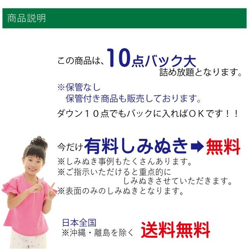 クリーニング 宅配 詰め放題 10点袋大（ブロガーさん推薦）衣替え 今