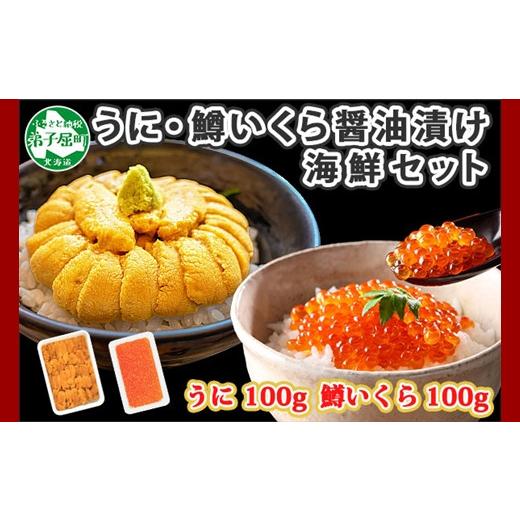 ふるさと納税 北海道 弟子屈町 1958. うに チリ産 冷凍 100g 鱒いくら醤油漬け 100g セット ウニ 雲丹 ますいくら 鱒 マス イクラ いくら いくら醤油漬け 海鮮…