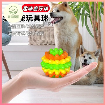 狗狗玩具球 彈力玩具球 寵物玩具 TPR玩具 訓練玩具 狗玩具耐咬 磨牙啃咬玩具 狗狗互動球 耐咬跳跳球 潔齒玩具球