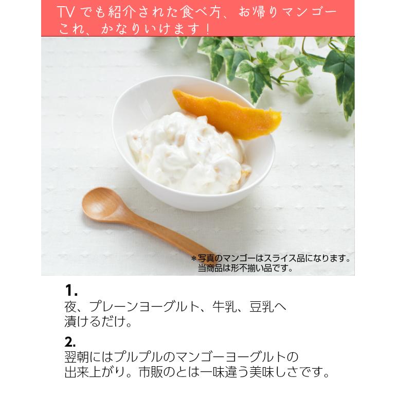 ドライフルーツ ドライ マンゴー 形不揃い 保存料 無添加 500g (100g x 5袋) セール 価格に 訳あり お菓子 ミスターマンゴー