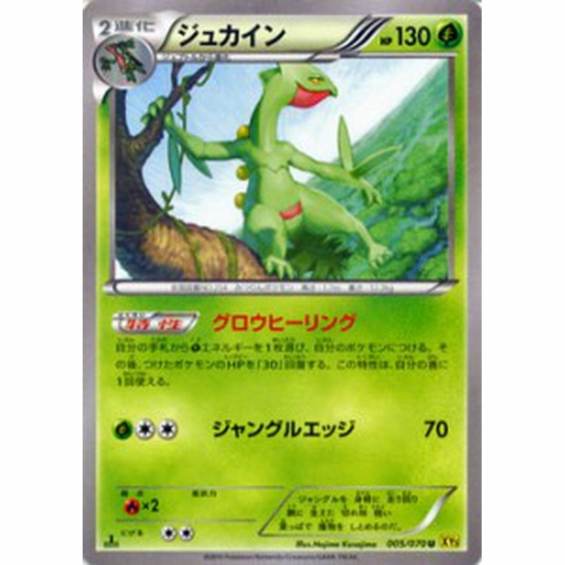 ポケモンカードゲームxy ジュカイン ガイアボルケーノ Pmxy5 シングルカード 通販 Lineポイント最大1 0 Get Lineショッピング