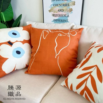 【騰源織品｜24hr出貨】現代簡約系列抱枕套 | 共10款 | 45x45 | 60x60