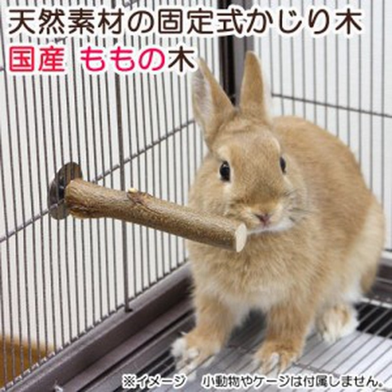 天然素材の固定式かじり木 国産ももの木 かじり木 おもちゃ (ハムスター) 通販 LINEポイント最大1.0%GET | LINEショッピング