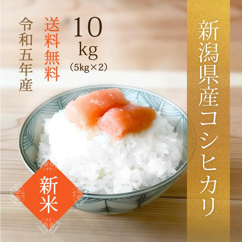 新潟県産コシヒカリ 新米 白米 令和5年産 10kg 精米