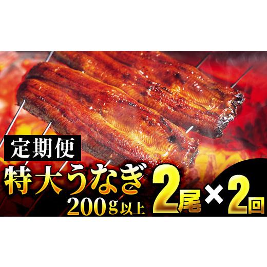 ふるさと納税 佐賀県 大町町 特大!!ふっくら肉厚!!特選うなぎ2尾を2回お届け♪YS0003