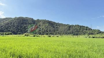 (專)員山內湖一段 絕美背靠山景 不足坪農地｜宜蘭縣員山鄉內湖一段