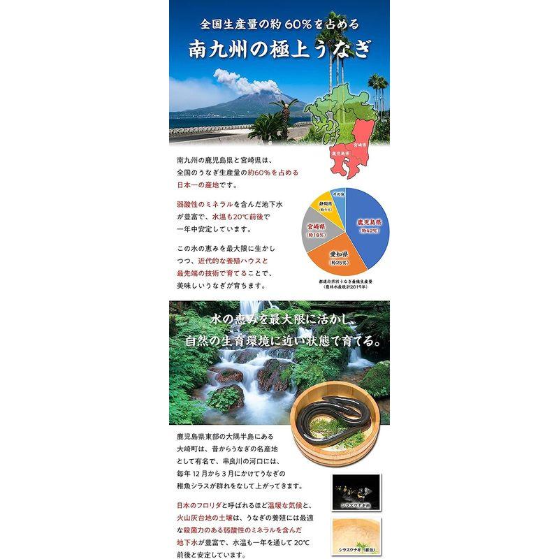 父の日 ギフト 甲羅組 国産 うなぎ 蒲焼き 2尾入り （180g前後×2尾） 特大サイズ 鹿児島県・宮崎県産