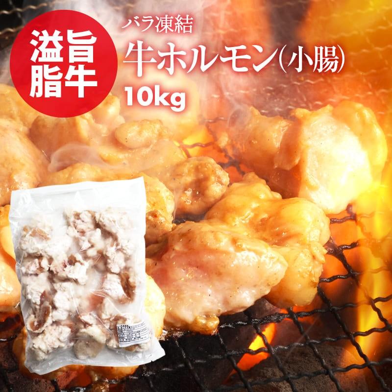 ホルモン 便利なバラ凍結 牛 小腸 10kg(1kg×10) もつ鍋 焼肉 焼き肉 ホルモン焼き バーベキュー うどん 使いたい分だけ使える 鮮度の高い 急速冷凍