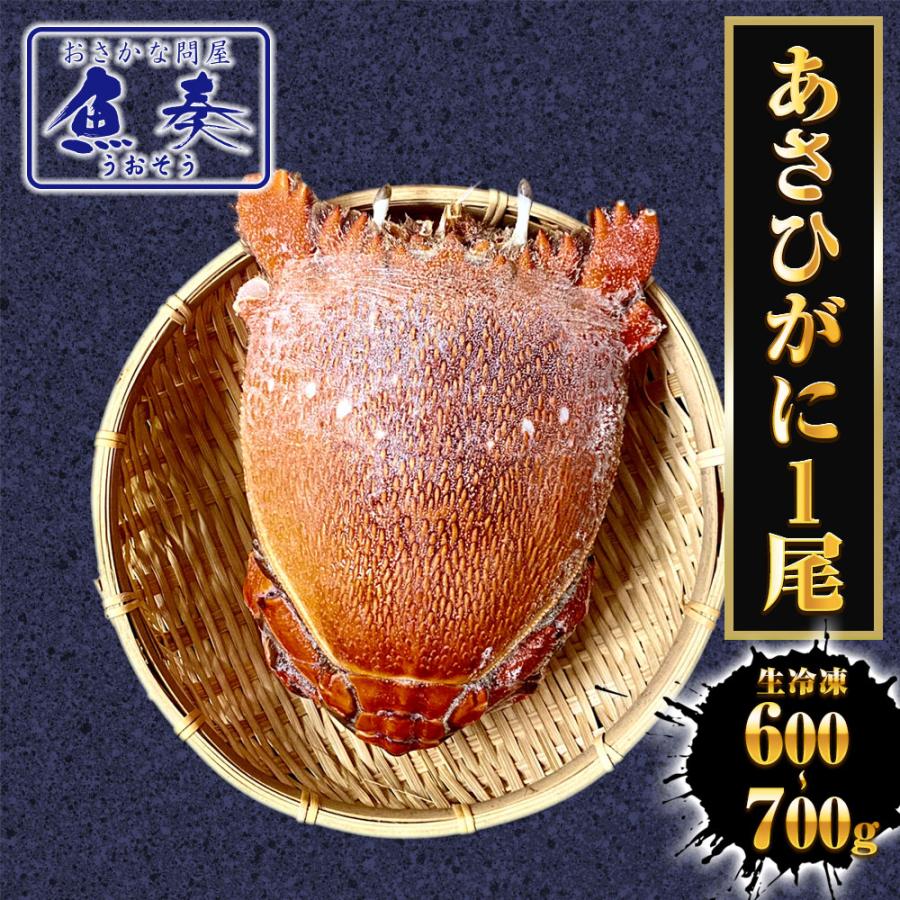 あさひがに 1尾 約600〜700g 生冷凍 旭蟹 朝日蟹 アサヒガニ かに カニ 蟹 送料無料