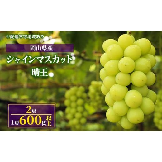 ふるさと納税 岡山県 岡山市 ぶどう 2024年 先行予約 シャイン マスカット 晴王 2房（1房 600g以上）化粧箱入り マスカット ブドウ 葡萄  岡山県産 国産 フル…