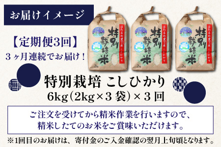 ベストファーマー ほたるの里 特別栽培こしひかり 6kg（2kg×3） × 3回 計18㎏ 化学肥料不使用 農薬70％以上カット [C-002002]