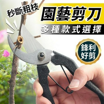 剪定鋏 /一支入 8號花剪 園藝剪刀 花藝剪刀 修枝剪 園藝剪 果樹剪 採果剪 樹枝剪 -智00490【APP滿額下單10%點數(單一帳號最高5000點)】1/31止
