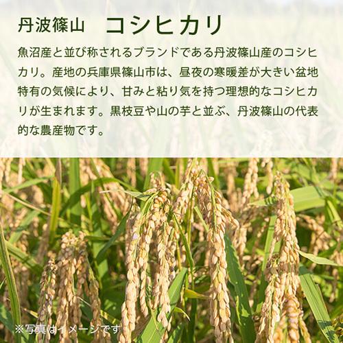 スマート米 兵庫県丹波篠山産 コシヒカリ 精米   残留農薬不検出   1.8kg (令和5年産)