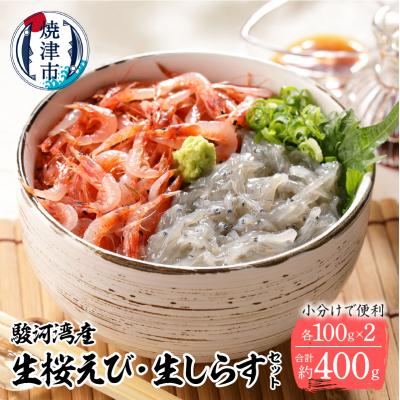 ふるさと納税 焼津市 生桜エビと生シラスのセット(a15-478)