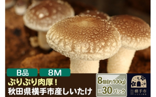 しいたけ B品 8M（約100g）×30パック