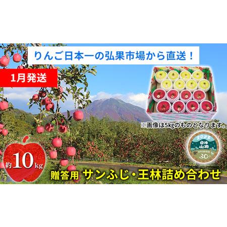 ふるさと納税 贈答用 サンふじ・王林詰め合わせ 約10kg 青森県西目屋村