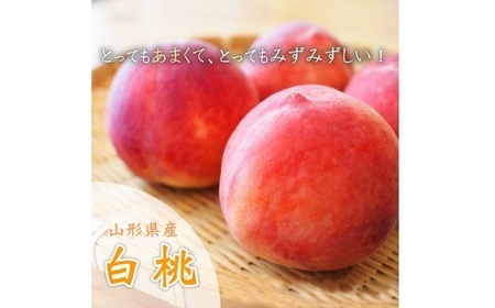 山形県中山町産白桃 約3kg(6玉～12玉) 期間限定 数量限定 F4A-0107