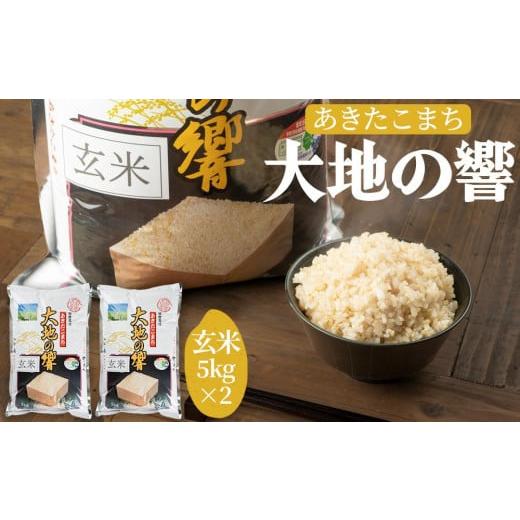 ふるさと納税 秋田県 大仙市 令和５年産 新米「特別栽培米あきたこまち　大地の響　玄米１０kg」秋山商店