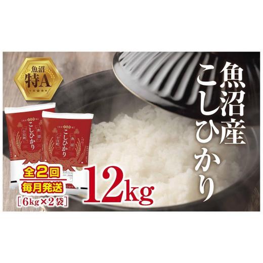 ふるさと納税 新潟県 十日町市 魚沼産 こしひかり 6kg ×2袋 計12kg 米 コシヒカリ お米 コメ 新潟 魚沼 魚沼産 白米 送料無料 新潟県産 精米…