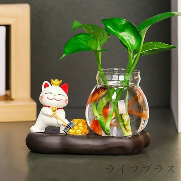Kiyodo招財貓水培植物擺件