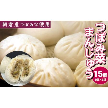 ふるさと納税 つぼみ菜まんじゅう 15個（80g×5個入×3袋）冷凍 肉まん 豚まん 惣菜 蕾菜 野菜 電子レンジ ※配送不可：離島 福岡県朝倉市