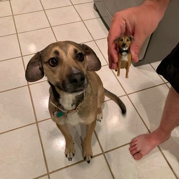 【客製化3D寵物紀念公仔】訂製手作似顏繪肖像狗狗貓咪毛小孩娃娃