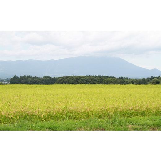 ふるさと納税 岩手県 雫石町 ＜令和５年度産＞雫石町産「銀河のしずく」精米10kg＜定期便６ヶ月＞