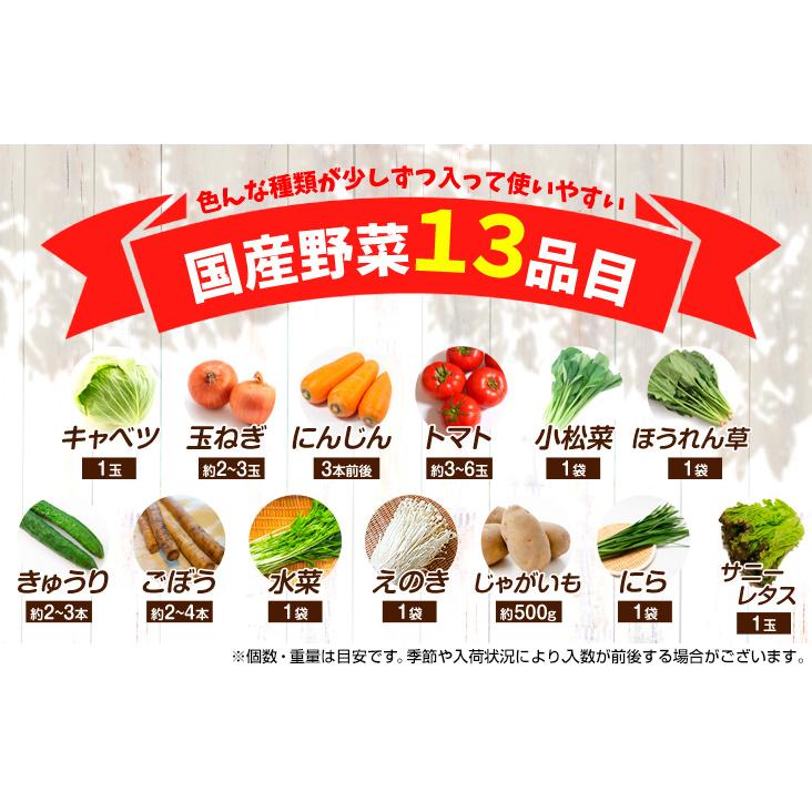 国産野菜13品目セット 1組 冷蔵 ご家庭用 送料無料 食品