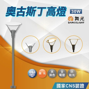 【舞光】LED奧古斯丁高燈  30W 黃光 防塵防水 全電壓 戶外燈 路燈 庭院燈 街燈