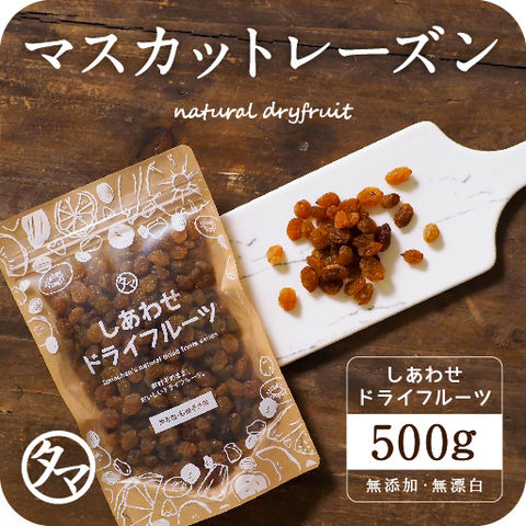 ドライ サンマスカットレーズン (500g オーストラリア産 無添加) オーガニック ドライフルーツ 砂糖不使用 有機JAS認定 ギフト 送料無料