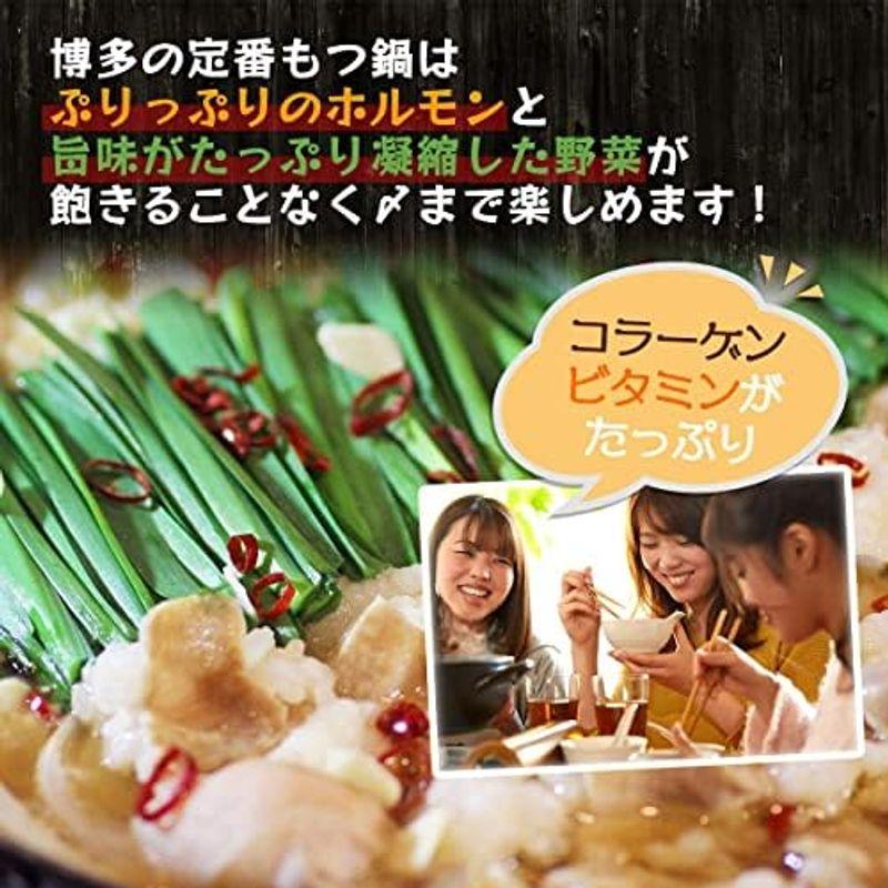 独楽 特撰博多もつ鍋セット 味噌味 2?3人前 300g