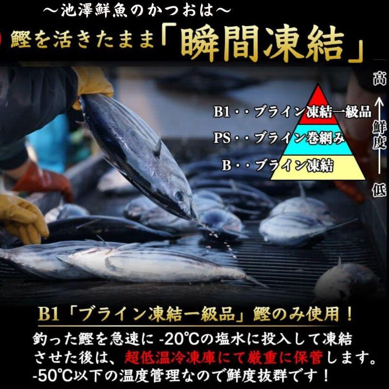 戻り鰹 刺身 とろカツオ 750g 高知 池澤鮮魚 誕生日 ギフト (贈答用ギフト包装)