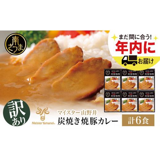 ふるさと納税 鹿児島県 南さつま市 山野井の炭焼き焼豚カレー（レトルト）180g×6個  ★年内発送★ 焼豚 カレー レトルト 惣菜 常温保存 …