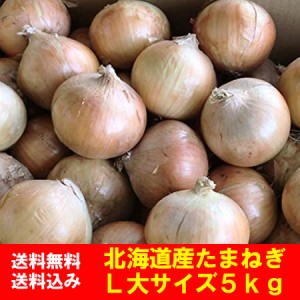 北海道 玉ねぎ 5kg 送料無料 たまねぎ 5kg L大サイズ 共撰 北海道産 たまねぎ   タマネギ   玉葱 野菜 たまねぎ