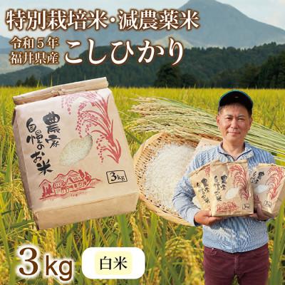 ふるさと納税 越前市 令和5年 新米 福井県産 栽培期間中農薬を減らして栽培したこしひかり 3kg(白米)