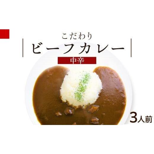 ふるさと納税 愛知県 名古屋市 シェフのこだわり ビーフカレー 中辛 3人前 牛肉 旨味