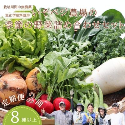 季節の野菜詰め合わせセット　2回定期便〔IV-02〕