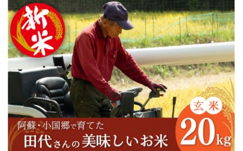 令和5年新米 田代さんの美味しいお米（玄米20kg）