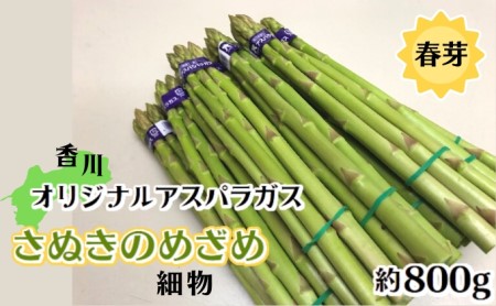 香川オリジナルアスパラガス「さぬきのめざめ春芽」細物　約800g