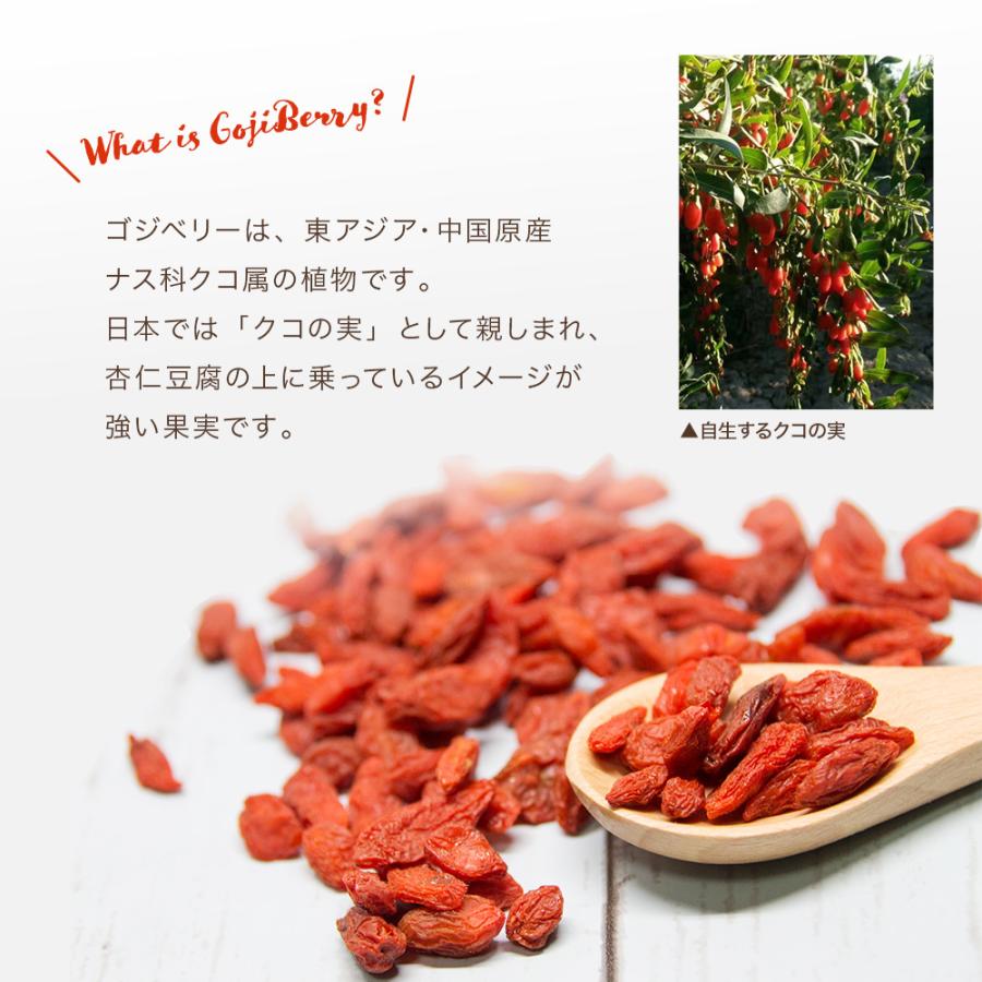 ゴジベリー 1kg 500g×2袋セット クコの実 無添加 無着色 スーパーフード goji berry ドライフルーツ くこ 枸杞の実 大容量 ギフト プレゼント