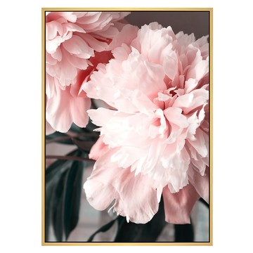 花開富貴 牡丹 掛畫  59.4 x 42cm  木色