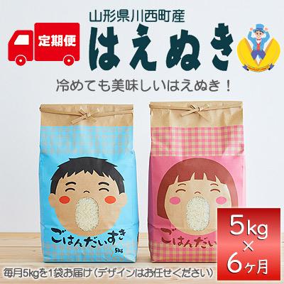 ふるさと納税 川西町 山形県産米「はえぬき」5kg(5kg×1袋)全6回