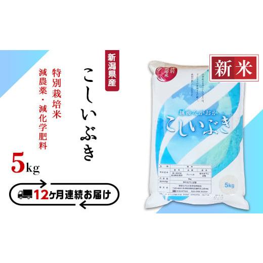 ふるさと納税 新潟県 長岡市 75-3K05Z新潟県長岡産特別栽培米こしいぶき5kg