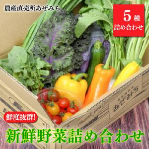 ふるさと納税 新鮮野菜 5種類詰合せ ※着日指定不可 栃木県宇都宮市