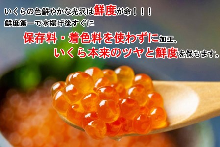 北海道産 網元特製 いくら醤油漬 鮭卵 計 200g