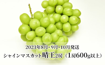 ぶどう 定期便 2024年 先行予約 シャイン マスカット 晴王 各月2房（1房600g以上） 3回コース 葡萄  岡山県産 フルーツ ギフト