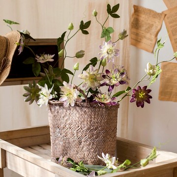 掬涵 奇異果花藤仿真花文藝小眾另類裝飾綠植花藝套裝搭配擺件